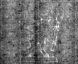 DE4815-DNB-L-WZ-0001024 - Typ:1 - ID: 112082 - Eintrag Nr.: 69 Wasserzeichen DE4815-DNB-L-WZ-0001024