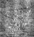 DE4815-DNB-L-WZ-0001026 - Typ:1 - ID: 112084 - Eintrag Nr.: 71 Wasserzeichen DE4815-DNB-L-WZ-0001026