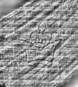 DE0960-Mlf768_189 - Typ:0 - ID: 112327 - Eintrag Nr.: 141 Wasserzeichen DE0960-Mlf768_189