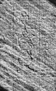 DE0960-Mtlf714_214 - Typ:0 - ID: 112347 - Eintrag Nr.: 160 Wasserzeichen DE0960-Mtlf714_214