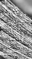 DE0960-Mtlf716_40 - Typ:0 - ID: 112367 - Eintrag Nr.: 163 Wasserzeichen DE0960-Mtlf716_40