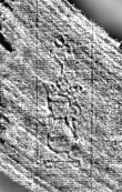DE0960-Mtlf716_10 - Typ:0 - ID: 112369 - Eintrag Nr.: 164 Wasserzeichen DE0960-Mtlf716_10