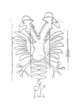 Wasserzeichen DE0960-Mtlq199_I