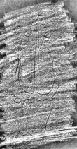 DE7260-Mss.theol.43_21 - Typ:0 - ID: 112536 - Eintrag Nr.: 138 Wasserzeichen DE7260-Mss.theol.43_21