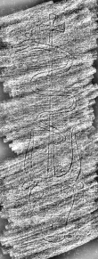 DE7260-Mss.theol.43_37 - Typ:0 - ID: 112538 - Eintrag Nr.: 91 Wasserzeichen DE7260-Mss.theol.43_37