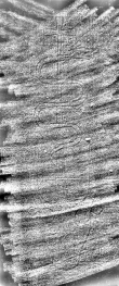 DE7260-Mss.theol.43_39 - Typ:0 - ID: 112539 - Eintrag Nr.: 92 Wasserzeichen DE7260-Mss.theol.43_39