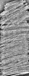 DE7260-Mss.theol.43_59 - Typ:0 - ID: 112541 - Eintrag Nr.: 72 Wasserzeichen DE7260-Mss.theol.43_59