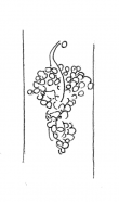 Wasserzeichen DE4200-Donaueschingen142_15