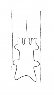 Wasserzeichen DE4200-Donaueschingen144_255