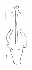 DE4200-Donaueschingen144_349 - Typ:0 - ID: 113009 - Eintrag Nr.: 139 Wasserzeichen DE4200-Donaueschingen144_349