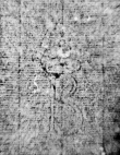 DE0960-Reluzzi2502_13r - Typ:0 - ID: 113046 - Eintrag Nr.: 3 Wasserzeichen DE0960-Reluzzi2502_13r