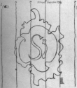 Wasserzeichen DE4815-DNB-L-WZ-0001254