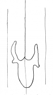 DE4200-Donaueschingen179_64 - Typ:0 - ID: 113228 - Eintrag Nr.: 131 Wasserzeichen DE4200-Donaueschingen179_64