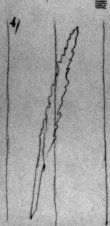 Wasserzeichen DE4815-DNB-L-WZ-0001315-wm1