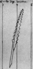 Wasserzeichen DE4815-DNB-L-WZ-0001328