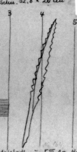 Wasserzeichen DE4815-DNB-L-WZ-0001330