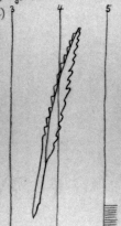 Wasserzeichen DE4815-DNB-L-WZ-0001334