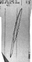 Wasserzeichen DE4815-DNB-L-WZ-0001337