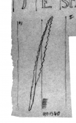 Wasserzeichen DE4815-DNB-L-WZ-0001340