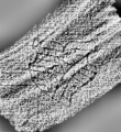 DE0960-Mm249_115 - Typ:0 - ID: 113764 - Eintrag Nr.: 85 Wasserzeichen DE0960-Mm249_115