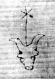 DE5580-2Incca118_1a8 - Typ:0 - ID: 113934 - Eintrag Nr.: 3 Wasserzeichen DE5580-2Incca118_1a8