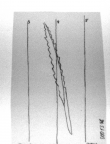 Wasserzeichen DE4815-DNB-L-WZ-0001346