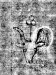 DE0960-4Inc2377_254 - Typ:0 - ID: 114079 - Eintrag Nr.: 162 Wasserzeichen DE0960-4Inc2377_254
