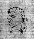 DE5580-2Incca958d_c6 - Typ:0 - ID: 114206 - Eintrag Nr.: 52 Wasserzeichen DE5580-2Incca958d_c6