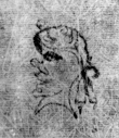 DE5580-2Incca958d_n5 - Typ:0 - ID: 114209 - Eintrag Nr.: 54 Wasserzeichen DE5580-2Incca958d_n5
