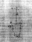 DE5580-2Incca1503_b1 - Typ:0 - ID: 114235 - Eintrag Nr.: 2 Wasserzeichen DE5580-2Incca1503_b1