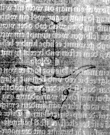 DE5580-2Incca1503_n8 - Typ:0 - ID: 114240 - Eintrag Nr.: 6 Wasserzeichen DE5580-2Incca1503_n8