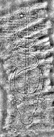 DE0960-Hdschr.22_408 - Typ:0 - ID: 114395 - Eintrag Nr.: 76 Wasserzeichen DE0960-Hdschr.22_408