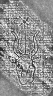 DE0960-Hdschr.175_3 - Typ:0 - ID: 114611 - Eintrag Nr.: 199 Wasserzeichen DE0960-Hdschr.175_3