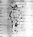 DE5580-2Incca1275_2c4 - Typ:0 - ID: 114694 - Eintrag Nr.: 24 Wasserzeichen DE5580-2Incca1275_2c4