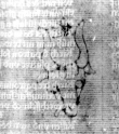 DE5580-2Incca1275_3f1 - Typ:0 - ID: 114730 - Eintrag Nr.: 26 Wasserzeichen DE5580-2Incca1275_3f1