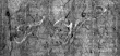 DE4815-DNB-L-WZ-0002072-wm1 - Typ:1 - ID: 115127 - Eintrag Nr.: 10 Wasserzeichen DE4815-DNB-L-WZ-0002072-wm1