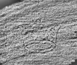DE0960-Mgf850_193 - Typ:0 - ID: 115345 - Eintrag Nr.: 143 Wasserzeichen DE0960-Mgf850_193