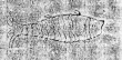 DE0945-Graun3085_I - Typ:0 - ID: 115360 - Eintrag Nr.: 4 Wasserzeichen DE0945-Graun3085_I