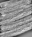 DE0960-Inc917a_273 - Typ:0 - ID: 115395 - Eintrag Nr.: 98 Wasserzeichen DE0960-Inc917a_273
