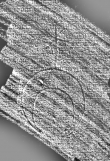 DE0960-4Inc354_999b - Typ:0 - ID: 115857 - Eintrag Nr.: 22 Wasserzeichen DE0960-4Inc354_999b
