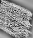 DE0960-4Inc820a_999e - Typ:0 - ID: 115966 - Eintrag Nr.: 26 Wasserzeichen DE0960-4Inc820a_999e