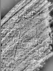 Wasserzeichen DE0960-Mlf214_168