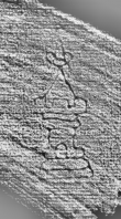 DE0960-4Inc829.5_134 - Typ:0 - ID: 115999 - Eintrag Nr.: 29 Wasserzeichen DE0960-4Inc829.5_134