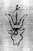 DE5580-2Incca796b_o1 - Typ:0 - ID: 116183 - Eintrag Nr.: 202 Wasserzeichen DE5580-2Incca796b_o1
