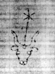 DE5580-2Incca796b_d1 - Typ:0 - ID: 116191 - Eintrag Nr.: 6 Wasserzeichen DE5580-2Incca796b_d1
