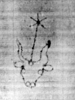 DE5580-2Incca796b_a2 - Typ:0 - ID: 116194 - Eintrag Nr.: 3 Wasserzeichen DE5580-2Incca796b_a2