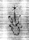 DE5580-2Incca796b_l1 - Typ:0 - ID: 116196 - Eintrag Nr.: 1 Wasserzeichen DE5580-2Incca796b_l1
