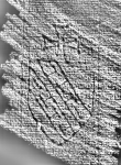 DE0960-Inc1535.5_999 - Typ:0 - ID: 116213 - Eintrag Nr.: 58 Wasserzeichen DE0960-Inc1535.5_999