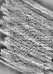DE0960-4Inc1536_21 - Typ:0 - ID: 116223 - Eintrag Nr.: 60 Wasserzeichen DE0960-4Inc1536_21