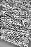 DE0960-4Inc1536_25 - Typ:0 - ID: 116224 - Eintrag Nr.: 61 Wasserzeichen DE0960-4Inc1536_25
